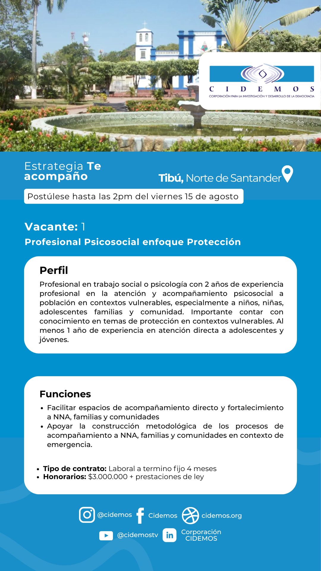 Profesional Psicosocial con enfoque en protección (cerrada)